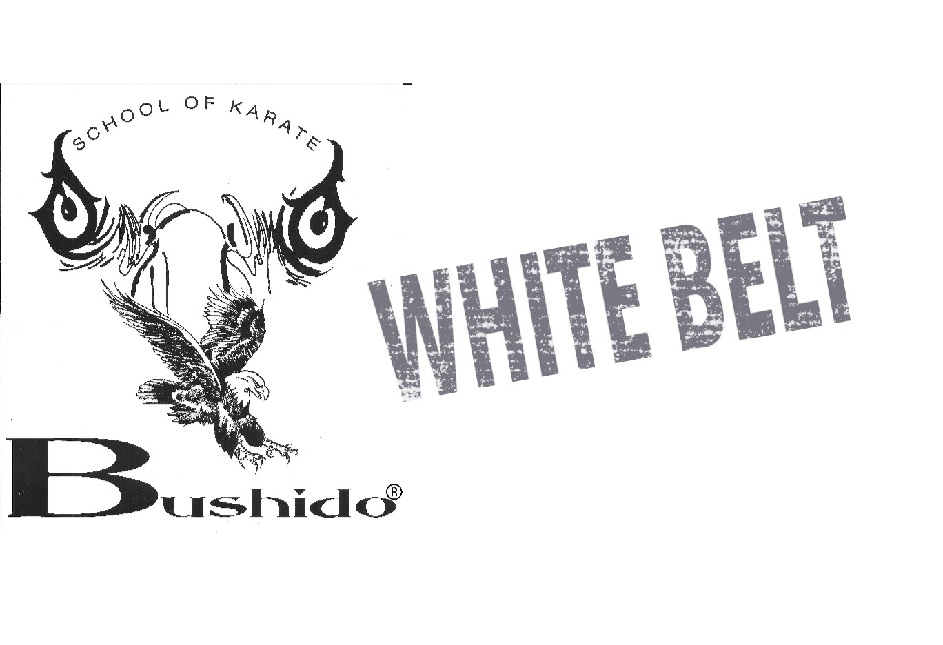 White Belt/Orange Belt Requirements