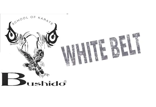 White Belt/Orange Belt Requirements