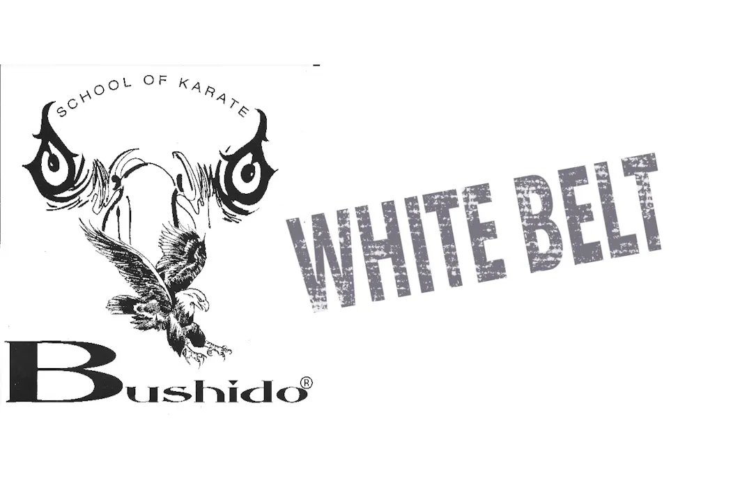 White Belt/Orange Belt Requirements