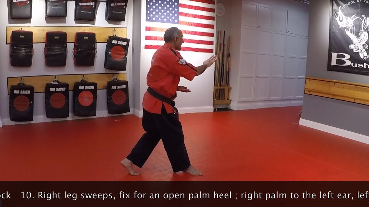 25Yellow Belt Form Yellow Belt Requirements BUSHIDO KARATE Online