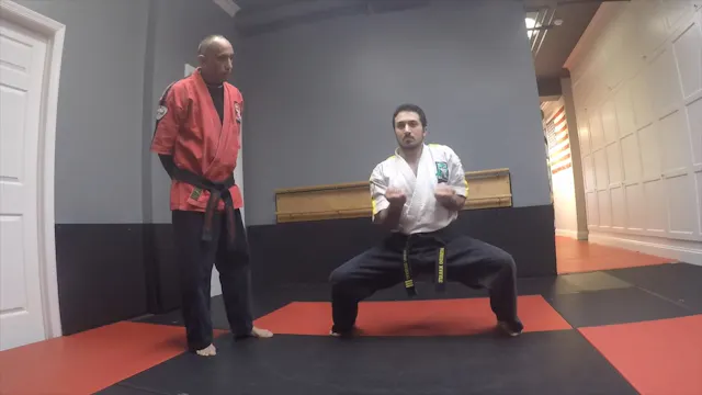 32-Red Belt Blocks and Strikes