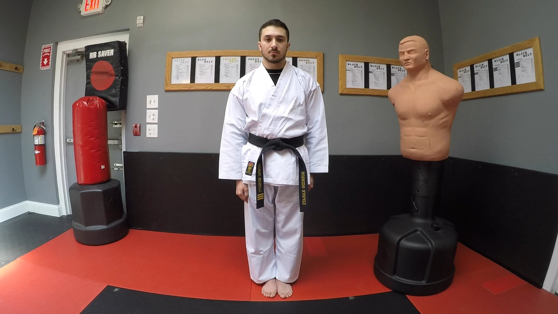 1-White Belt Basic Stances