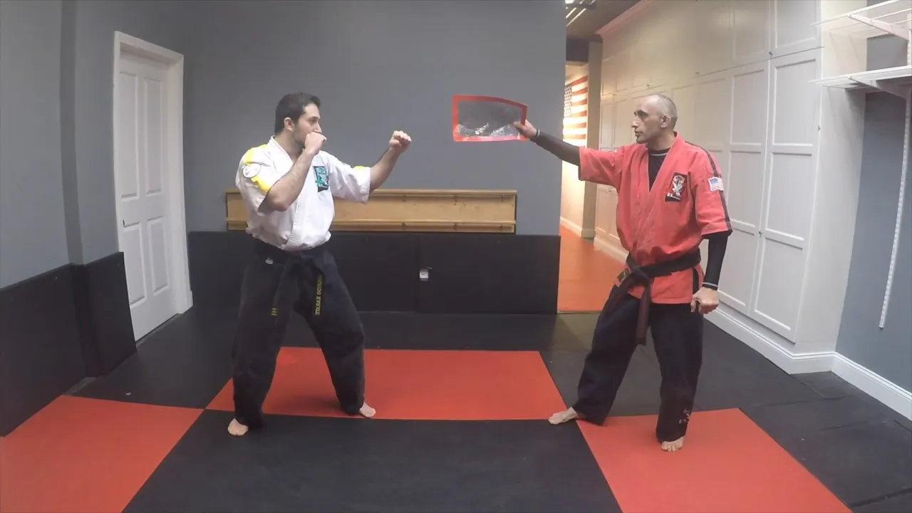 33 Red Belt Kicks Red Belt Requirements BUSHIDO KARATE Online Tutorials
