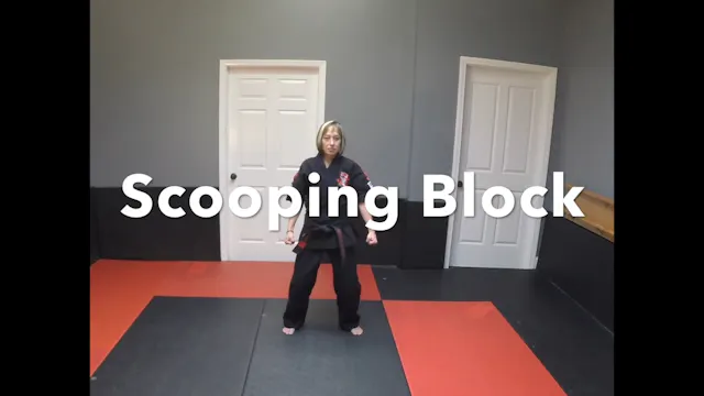 18-Yellow Belt Blocks