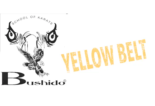 Yellow Belt Requirements