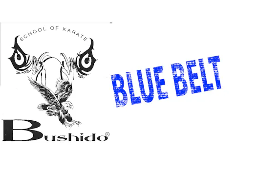 Blue Belt Requirements