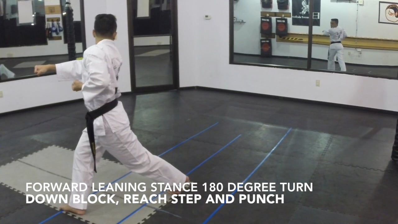 9-Drills for White Belt Form