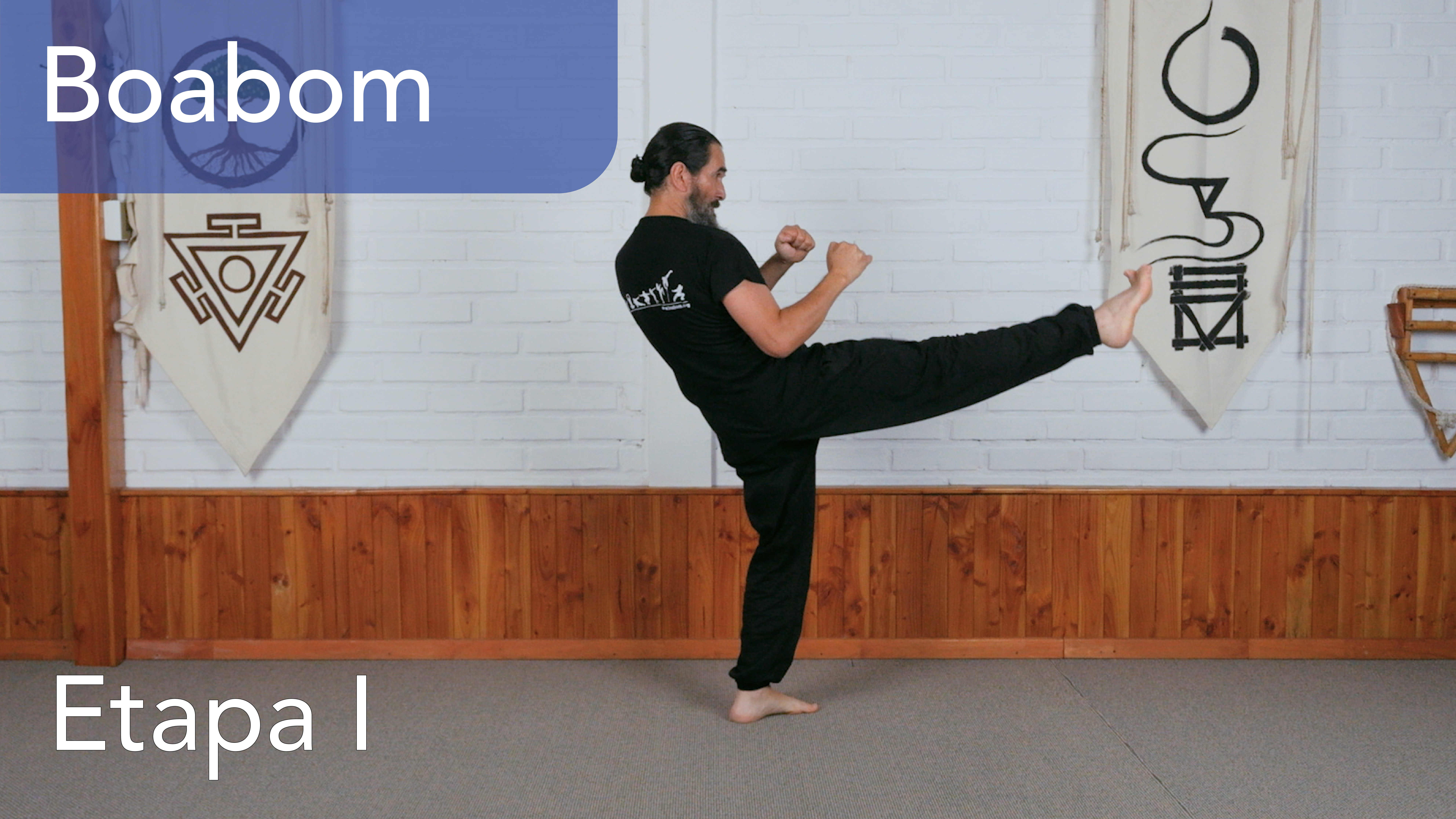 Boabom  - Introducción