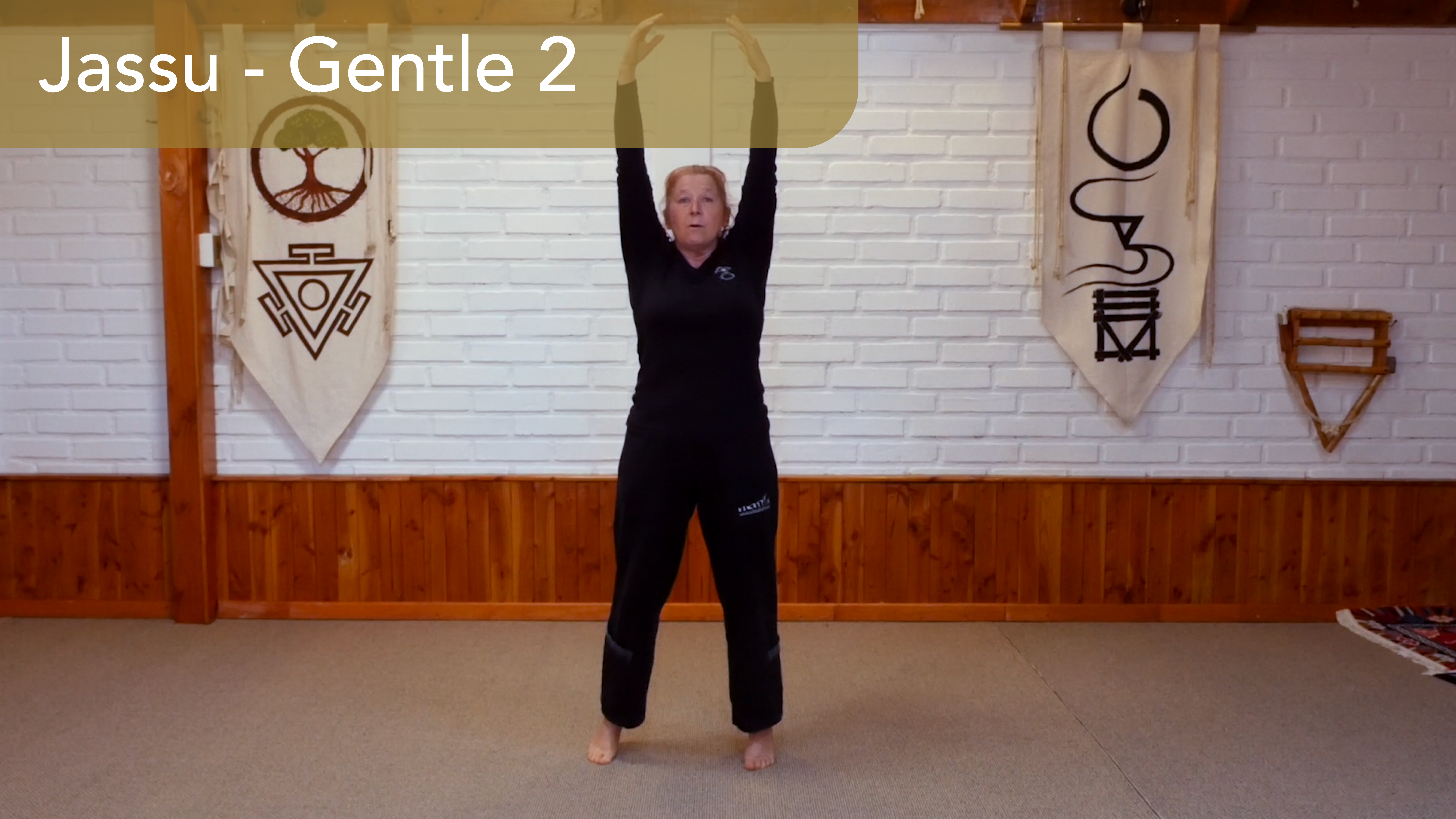 Jassu Seamm-Jasani 2: Practice the 8 Essential Movements