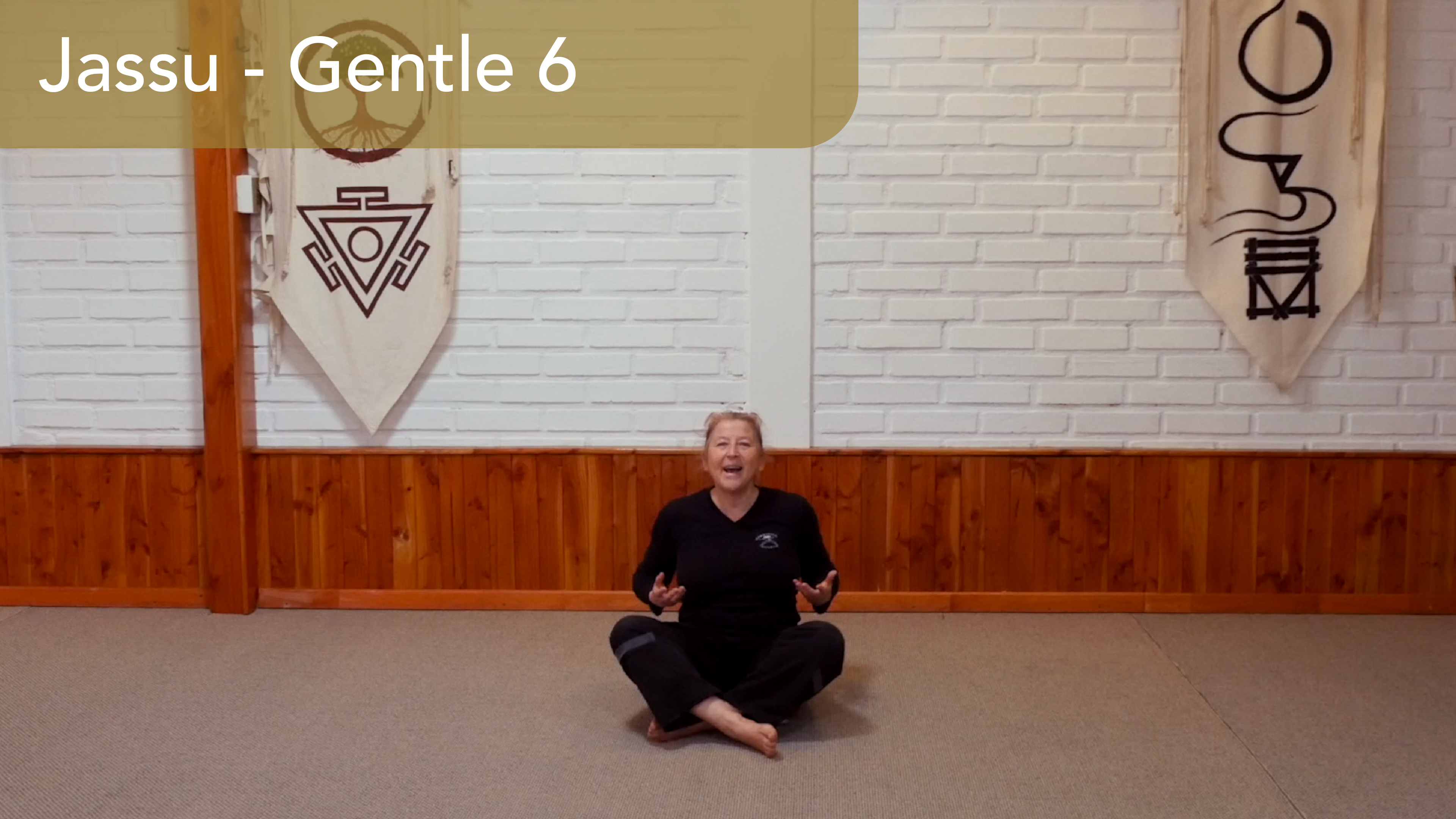 Jassu Seamm-Jasani 6: Practice the Longer Sequence