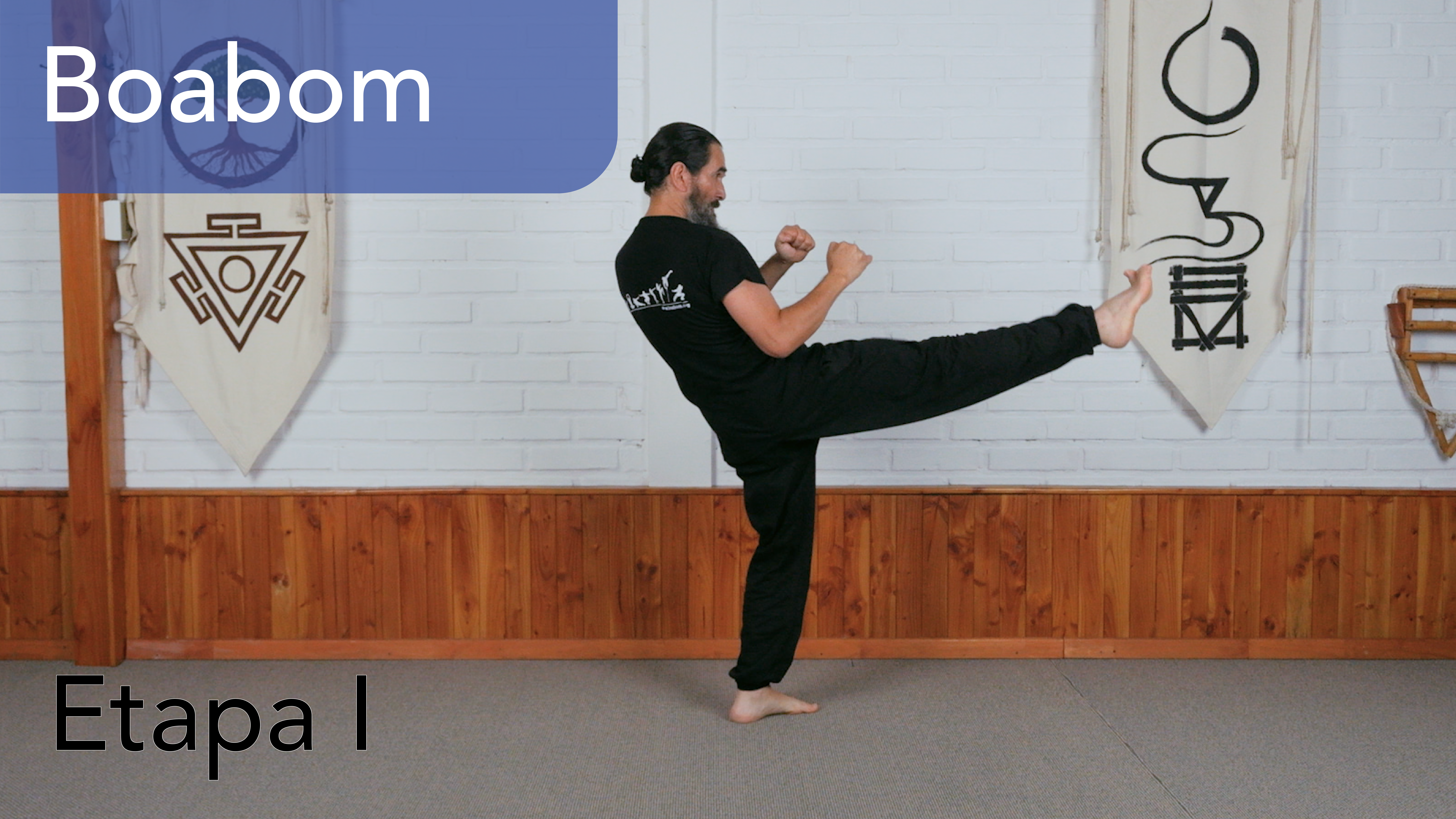 Boabom: Defensa y Energía