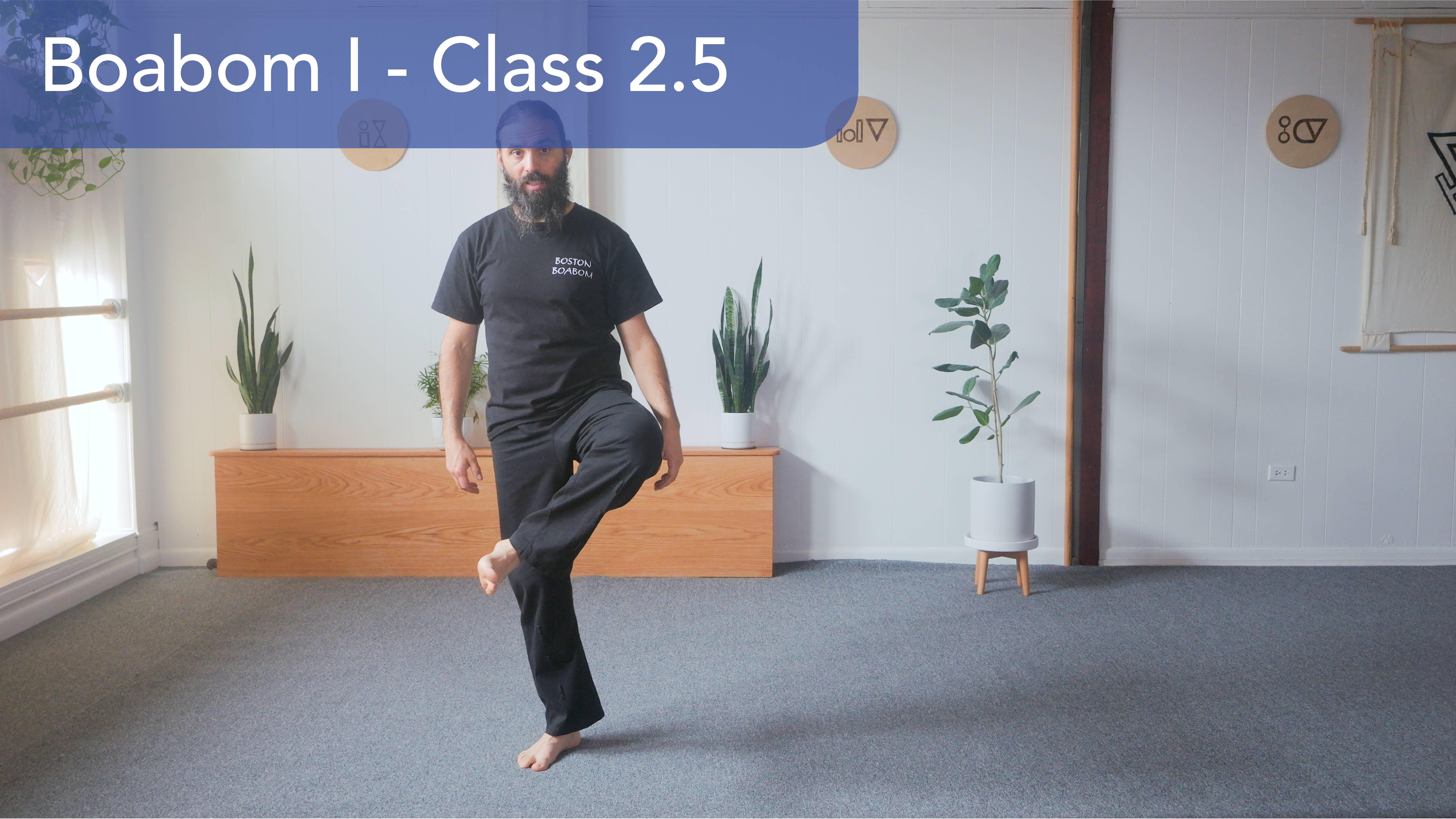 Boabom 1 - Class 2.5