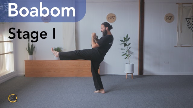 Boabom: Defense & Energy