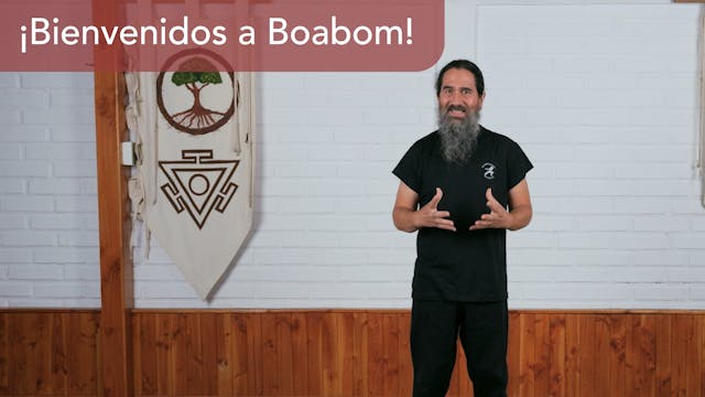!Bienvenidos a Boabom!