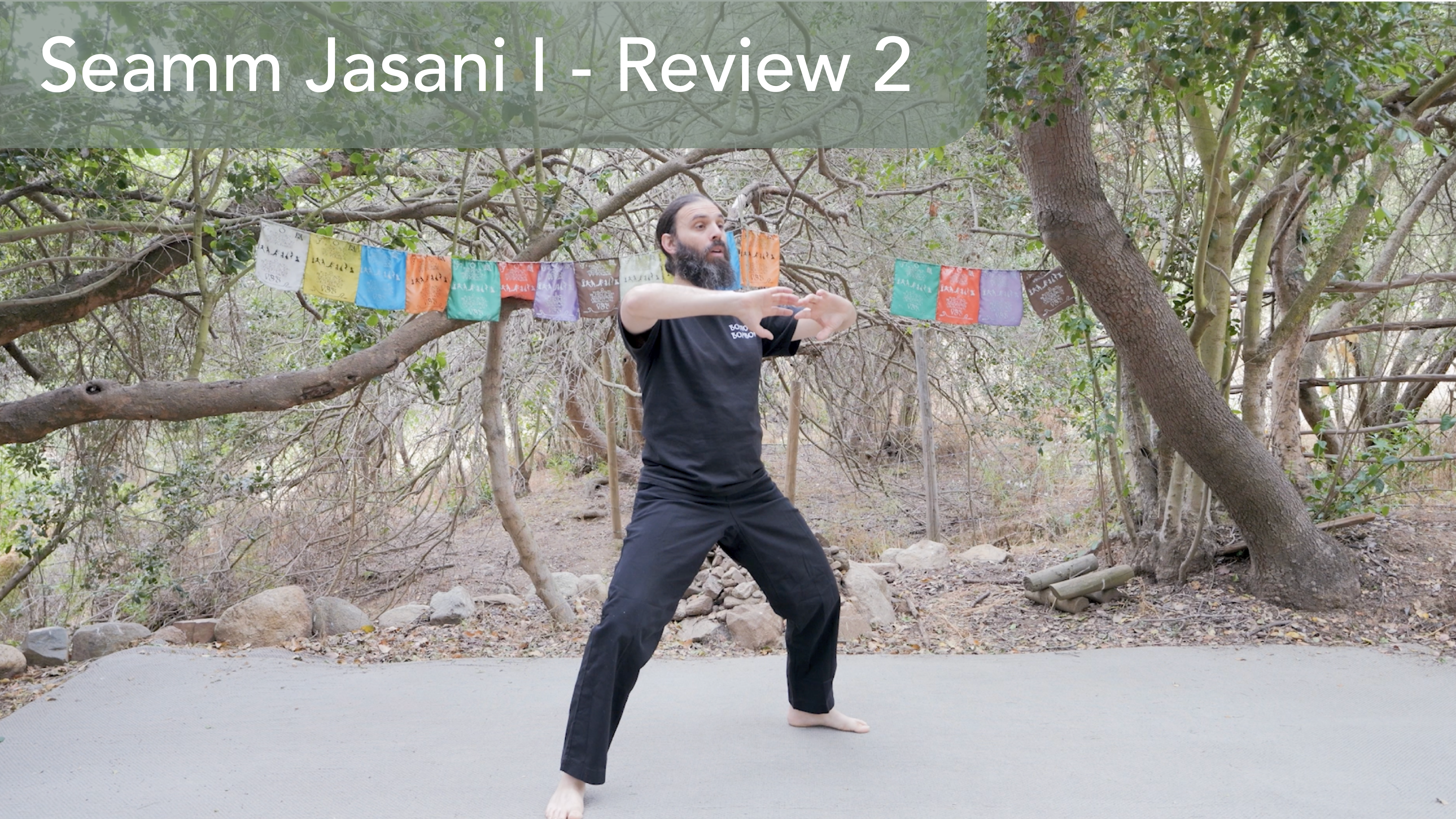 Seamm Jasani I: Review of Dugani and Yua 1 & 2