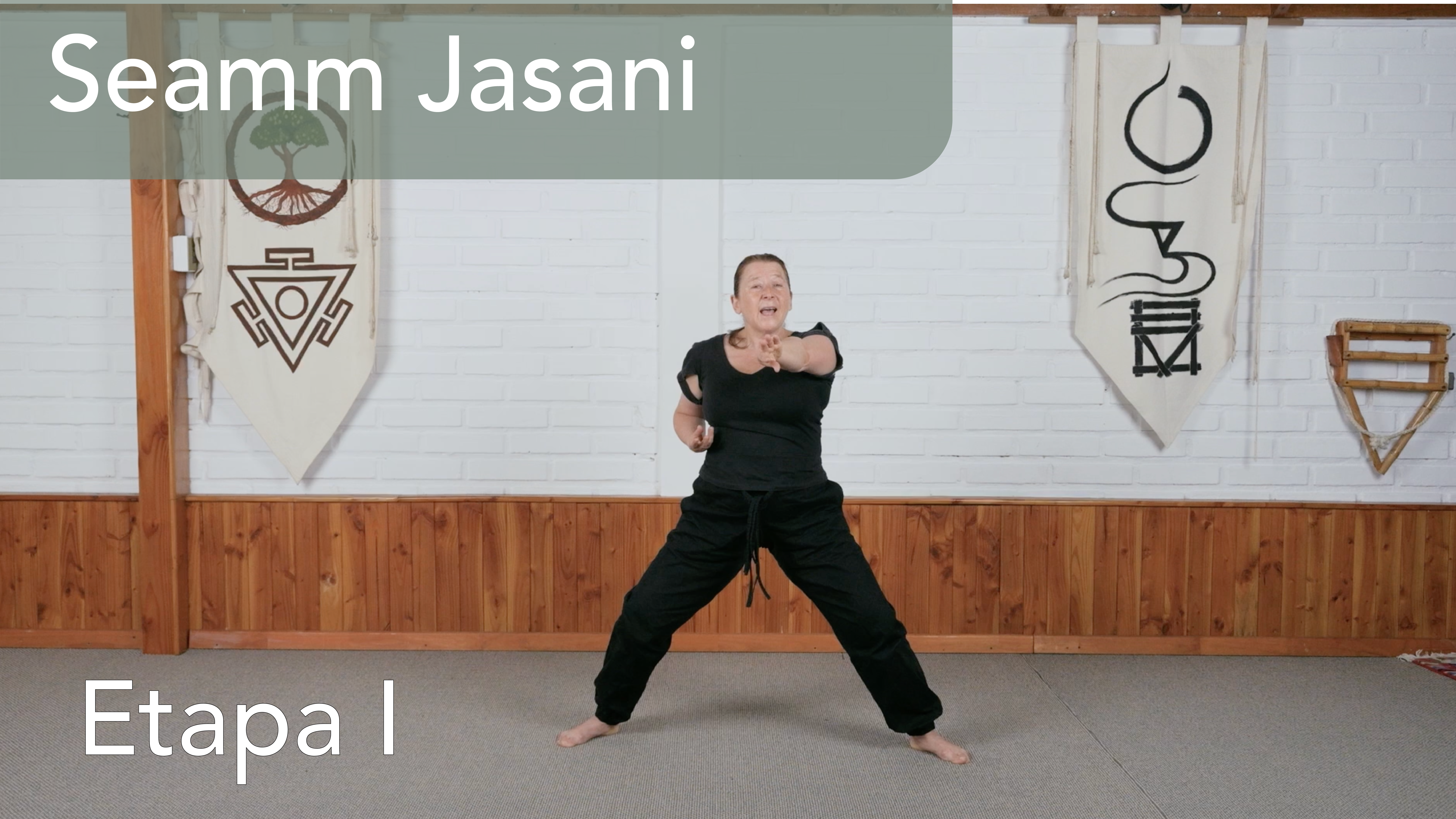 Seamm Jasani - Introduccióon