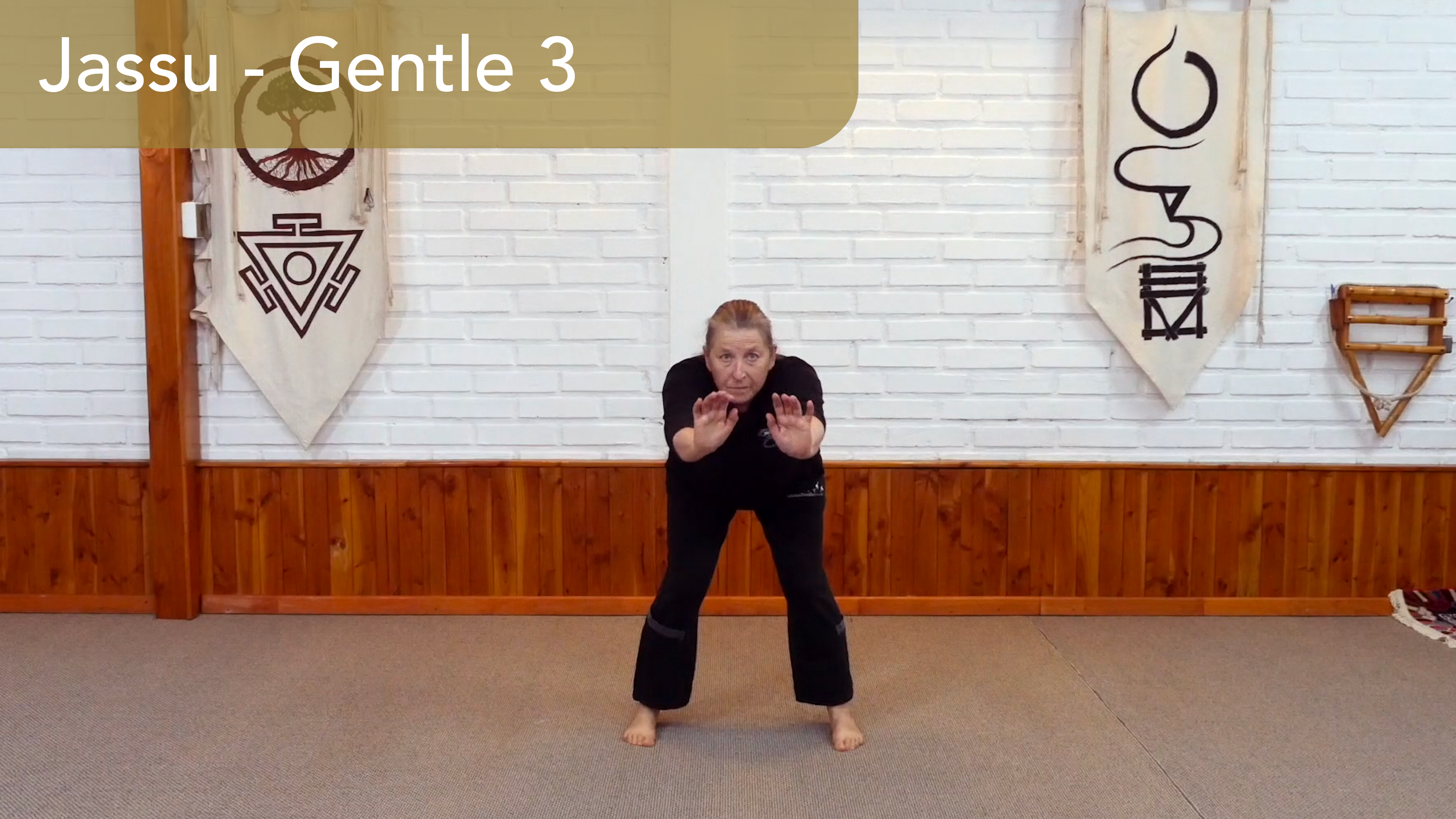 Jassu Seamm Jasani 3: Learn the 16 Movements