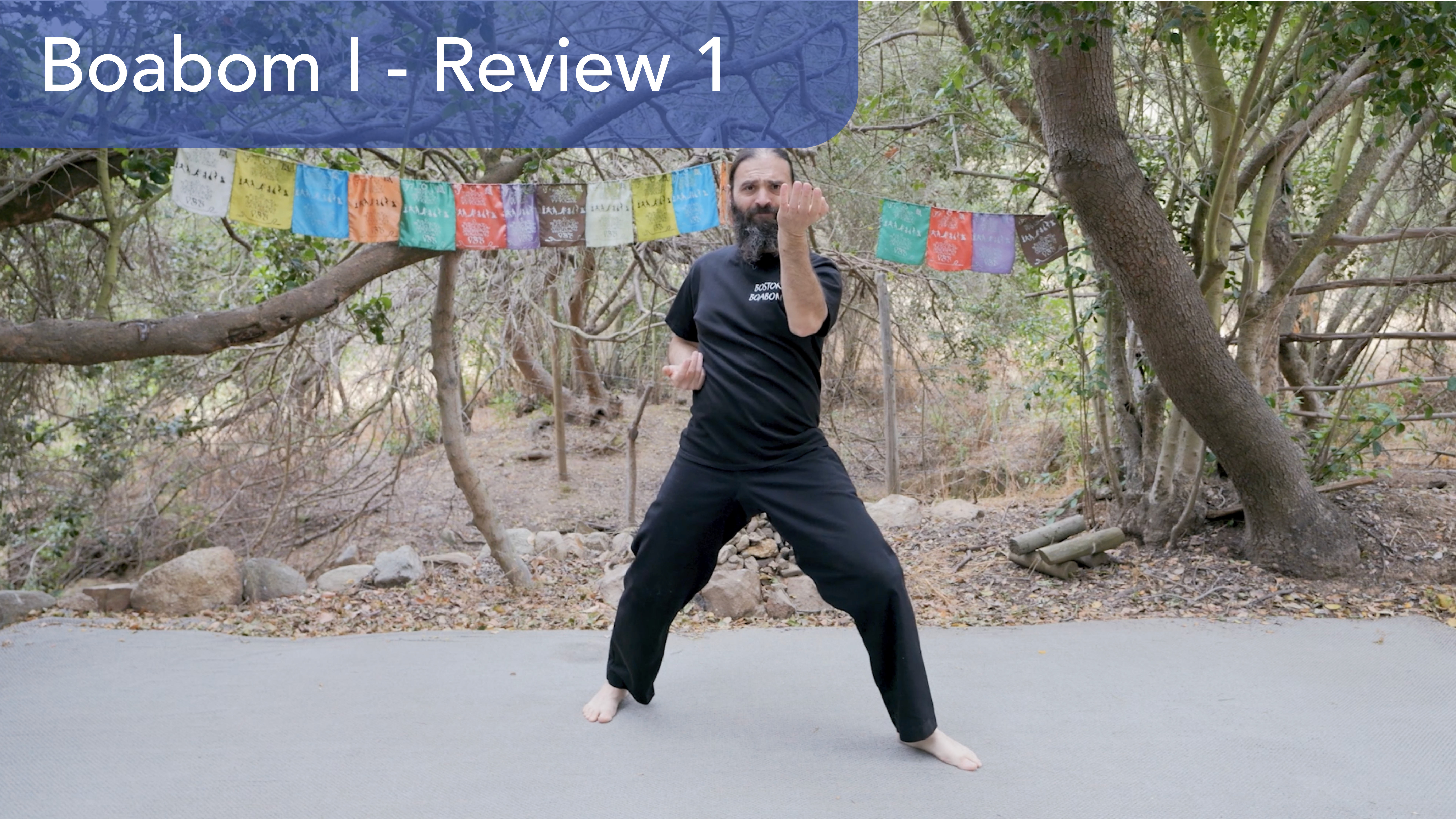 Boabom: Review of Reaction Forms and Yua