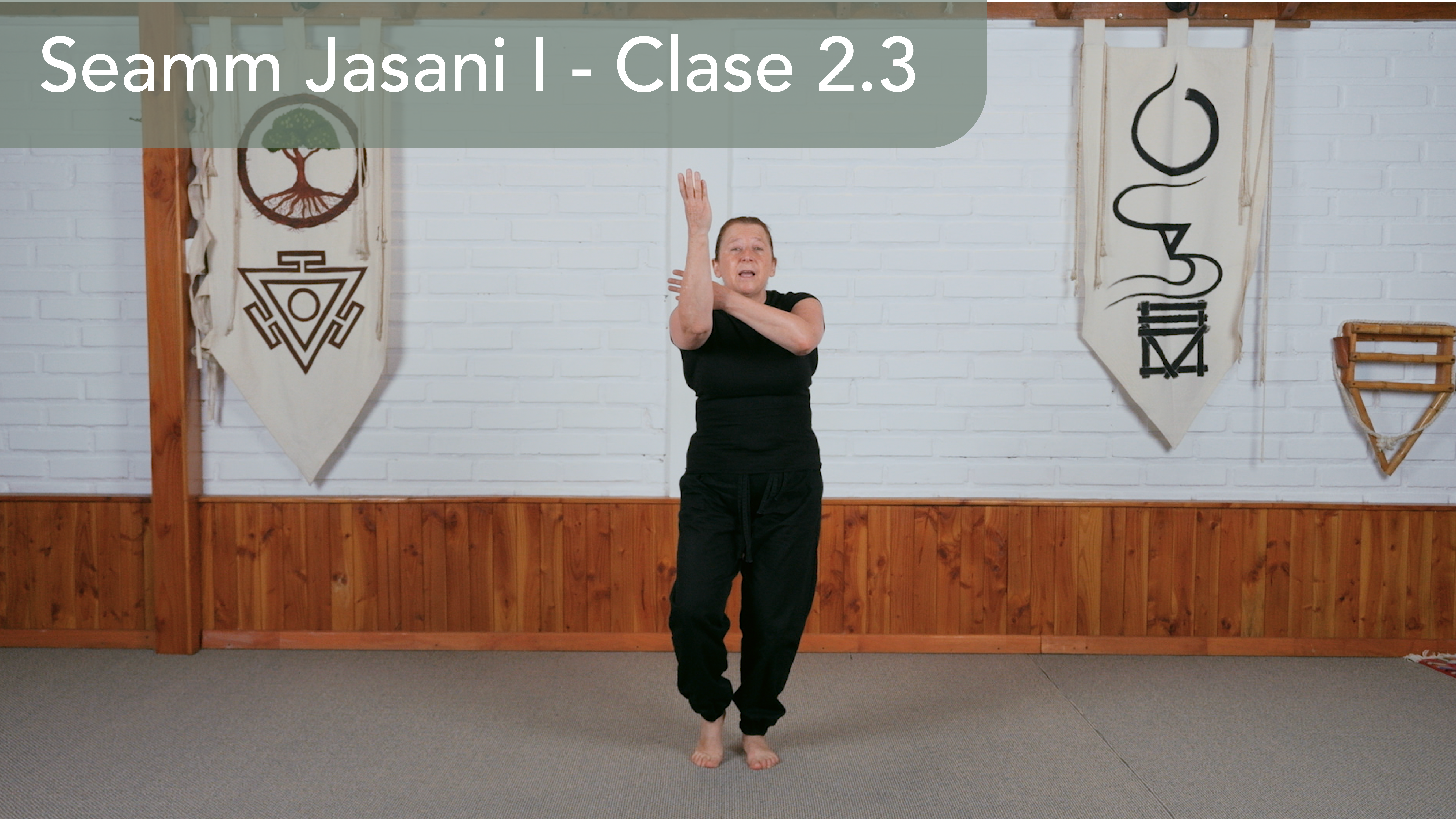 Seamm Jasani I - Clase 2.3