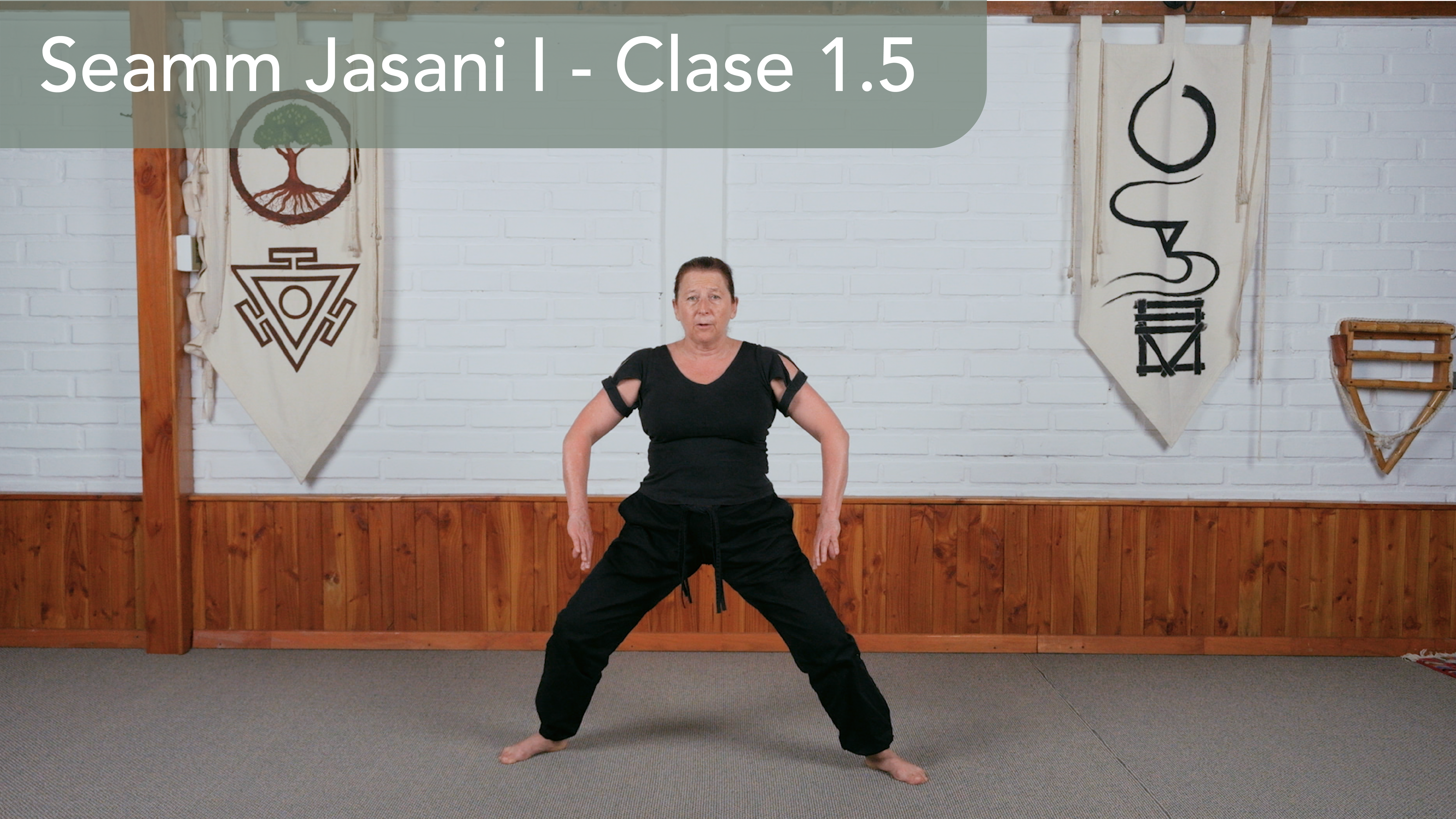 Seamm Jasani I - Clase 1.5