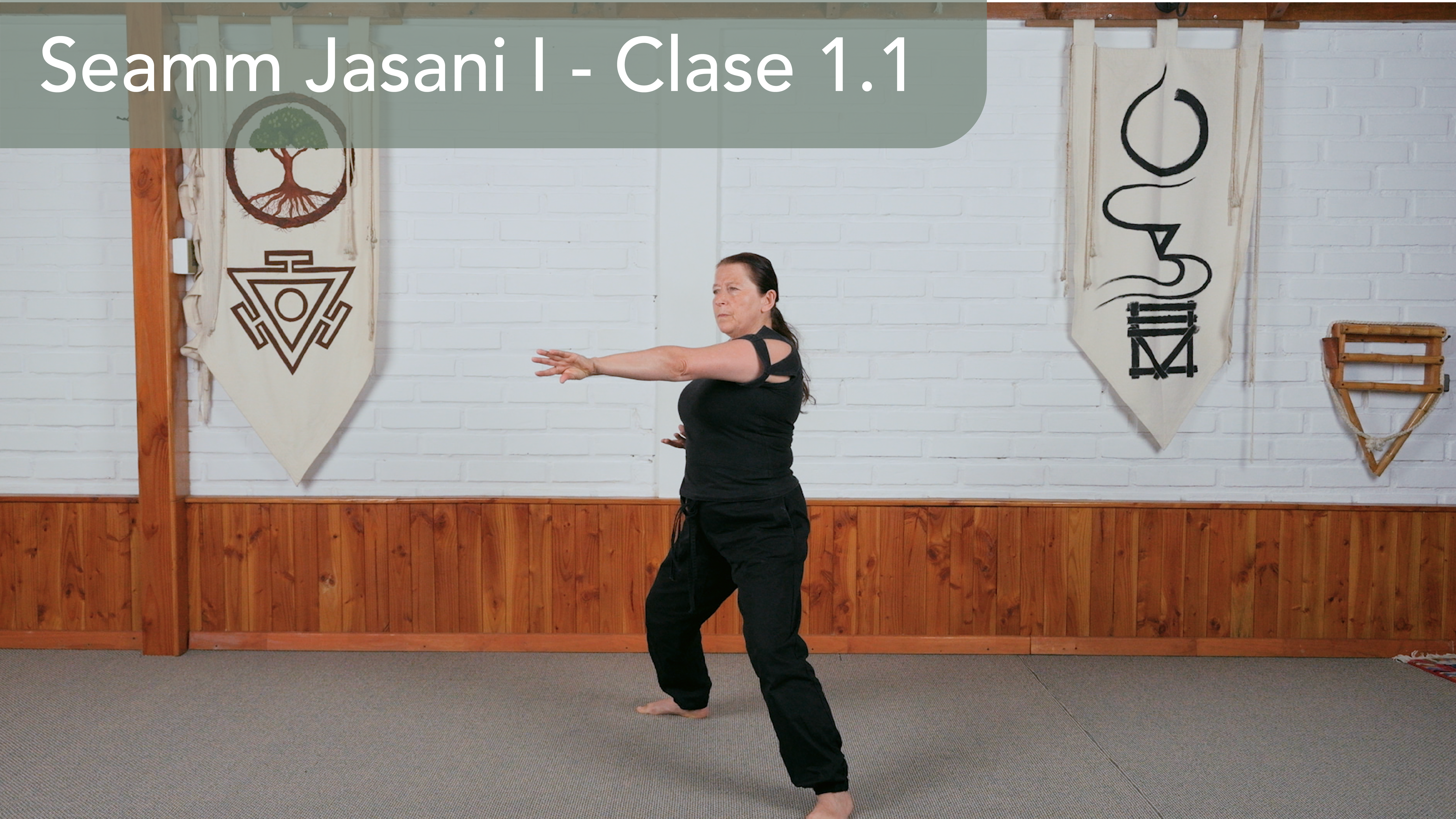 Seamm Jasani I - Clase 1.1