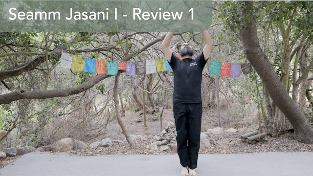Seamm Jasani I: Review of Form 1 and ...