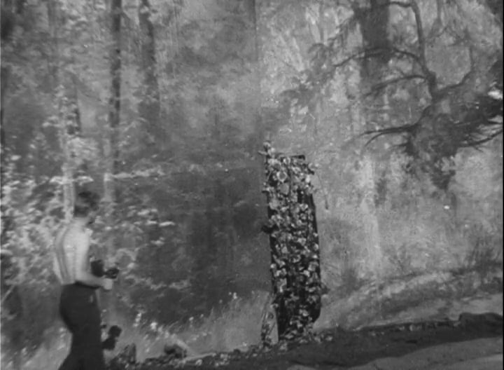 The Cyclist and the Shutterbug