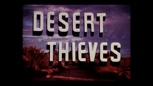Desert Thieves