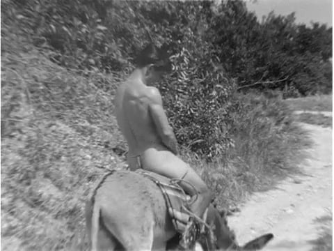 Jim Paris on a Donkey (with commentary)