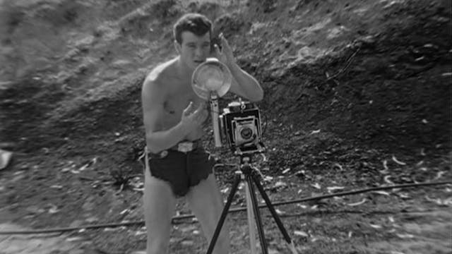 Wanted Model