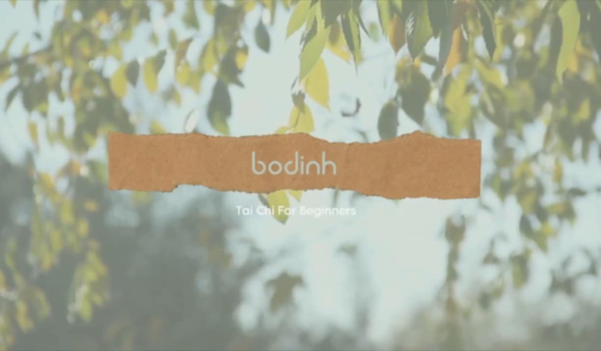 Tai Chi for Beginners- Class 6