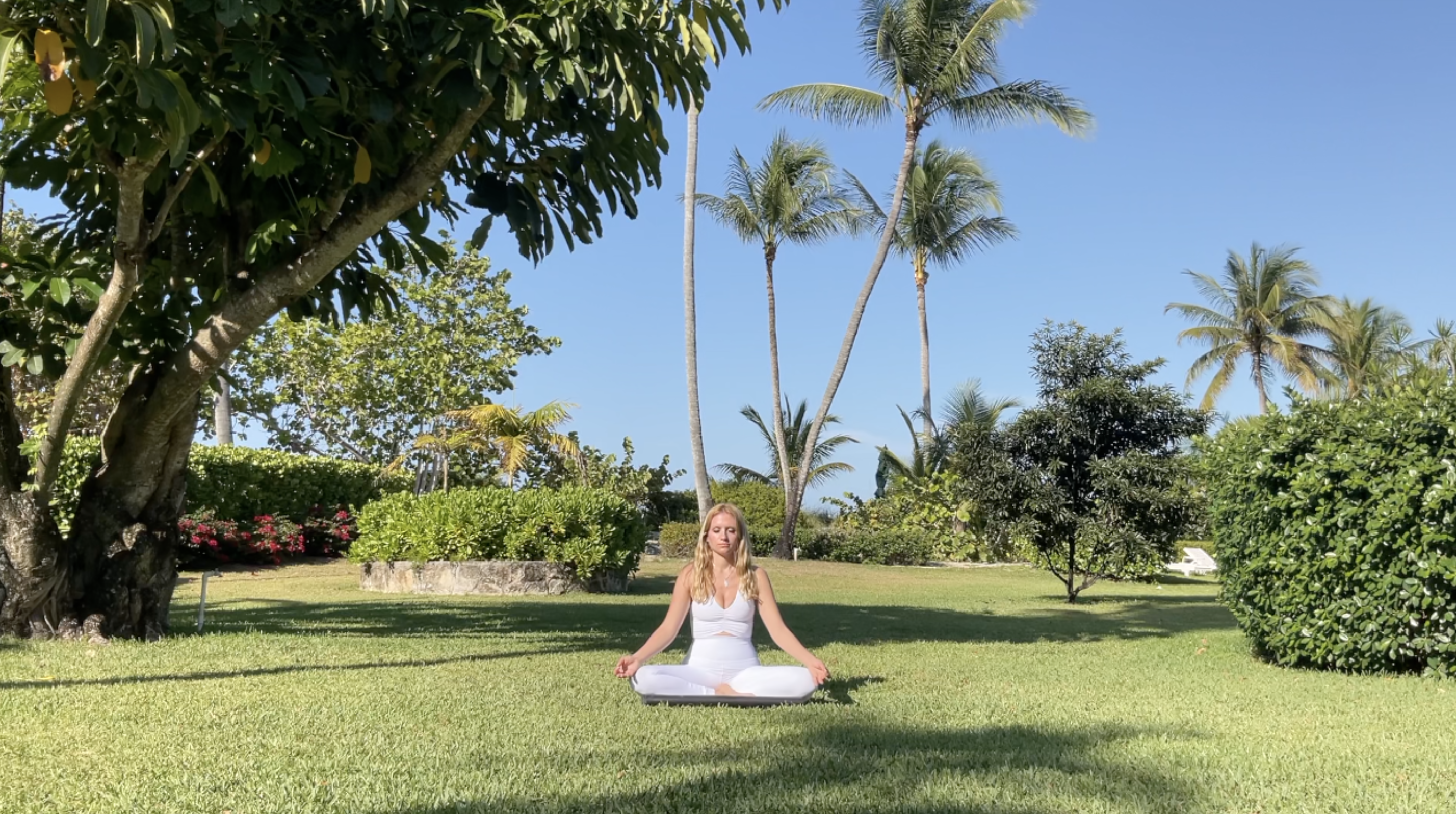 Breathwork- 25 Min Box Breathing 