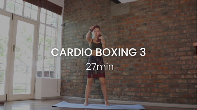 Cardio Boxing 3 (Feel & Flow)