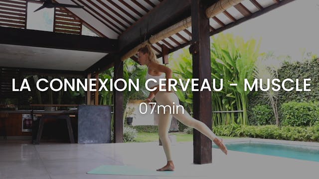 La connexion neuro-musculaire