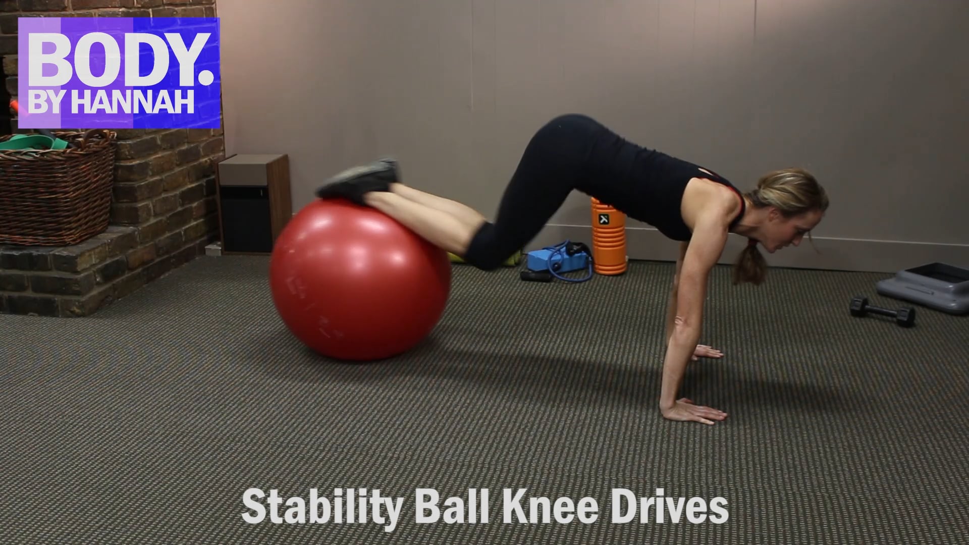 Stability Ball Knee Drives.mp4