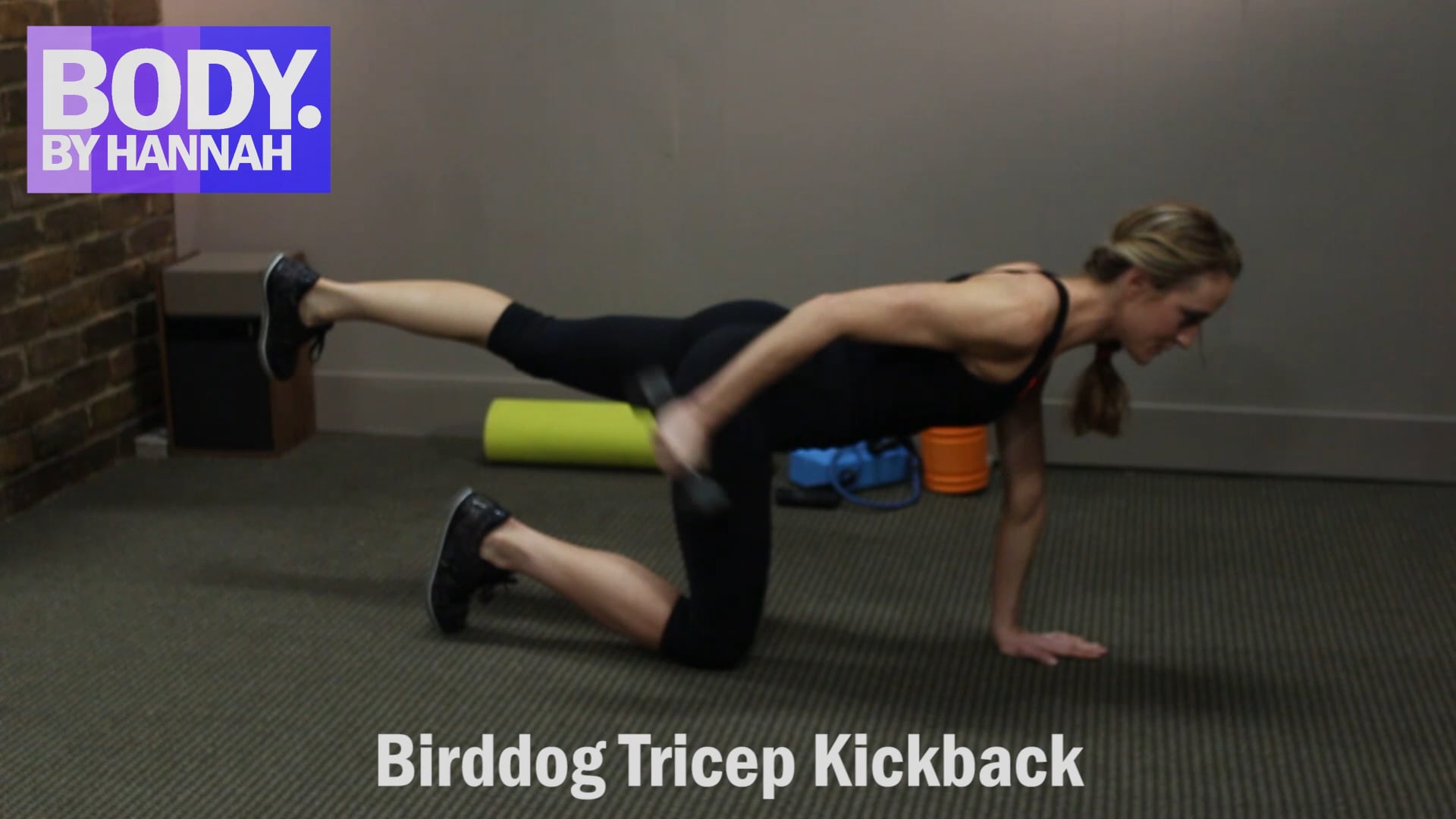 Birddog Tricep Kickback.mp4