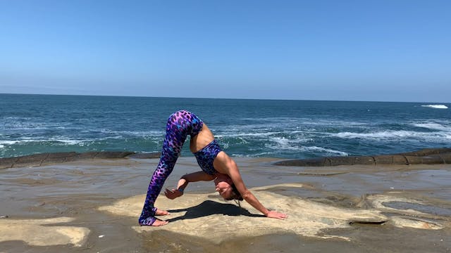 Yoga Stretch (5 minutes)