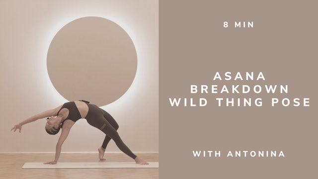 8 min Asana Breakdown Wild Thing Pose with Antonina (english)