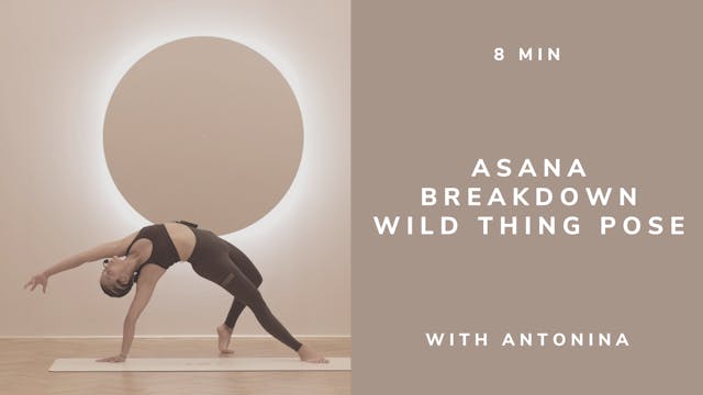 8 min Asana Breakdown Wild Thing Pose...