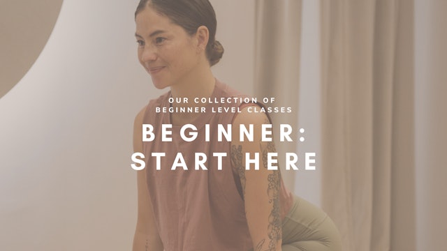 Beginner