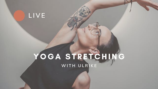 Yoga Stretching 12.11.24