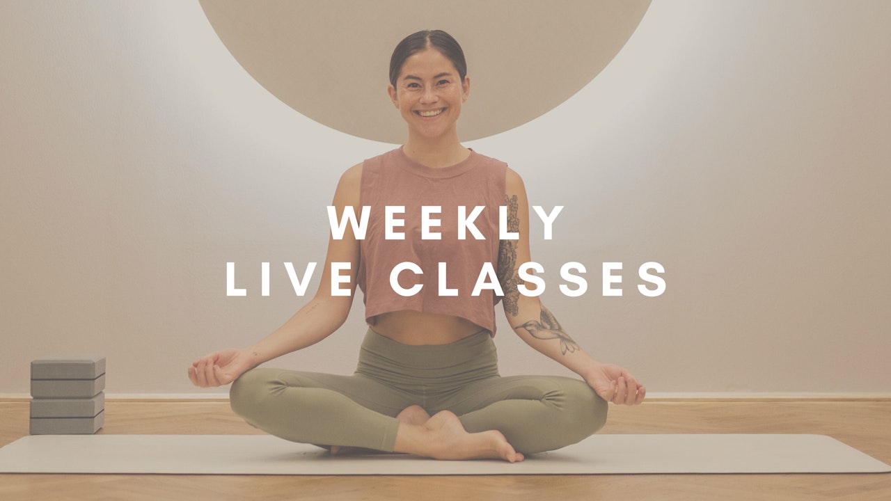 WEEKLY LIVE CLASSES
