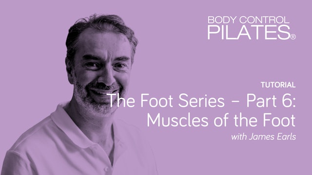 Tutorial: The Foot Series - Part 6: Muscles of the Foot with James Earls
