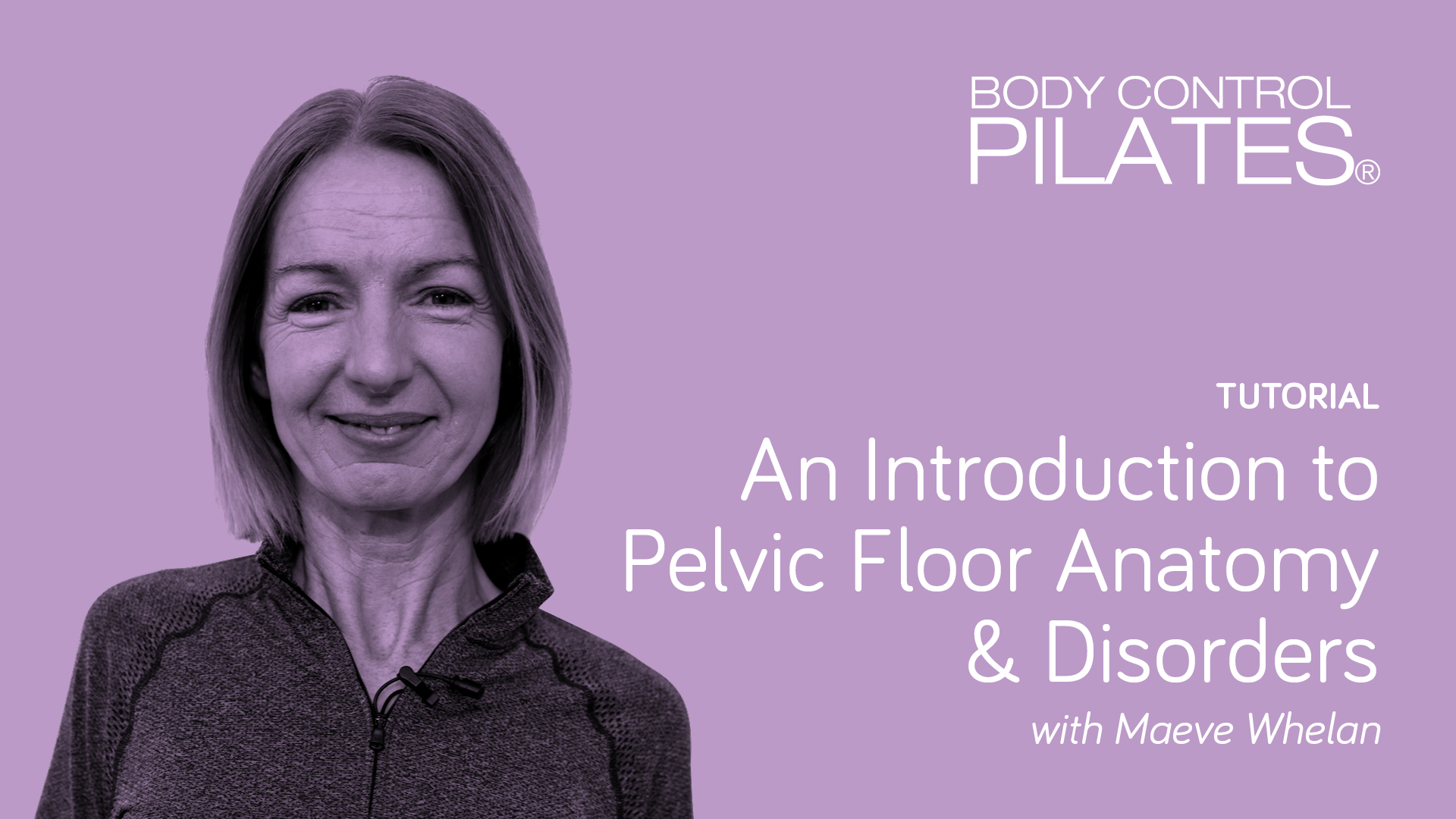 An Introduction to Pelvic Floor Anatomy & Disorders with Maeve Whelan
