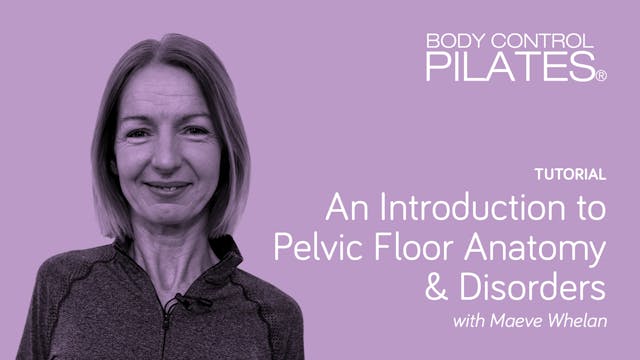 An Introduction to Pelvic Floor Anato...