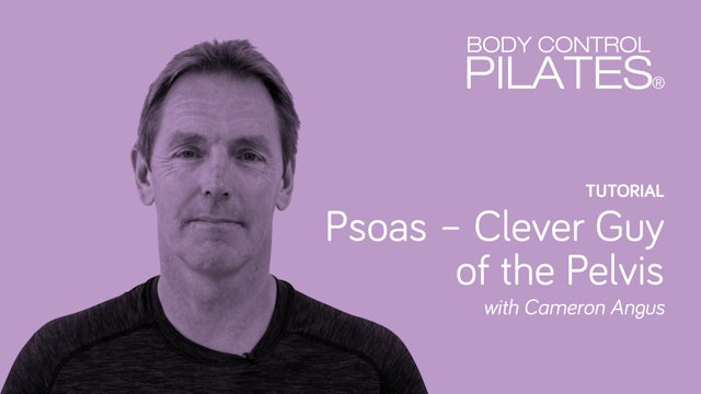Tutorial: Psoas - Clever Guy of the Pelvis with Cameron Angus