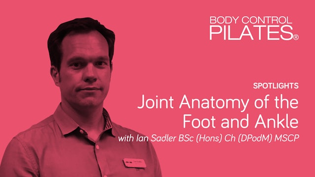 Spotlights: Joint Anatomy of the Foot & Ankle with Ian Sadler