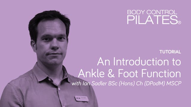 Tutorial: An Introduction to Ankle & ...