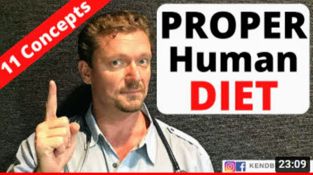The PROPER HUMAN DIET (11 Concepts You Need)
