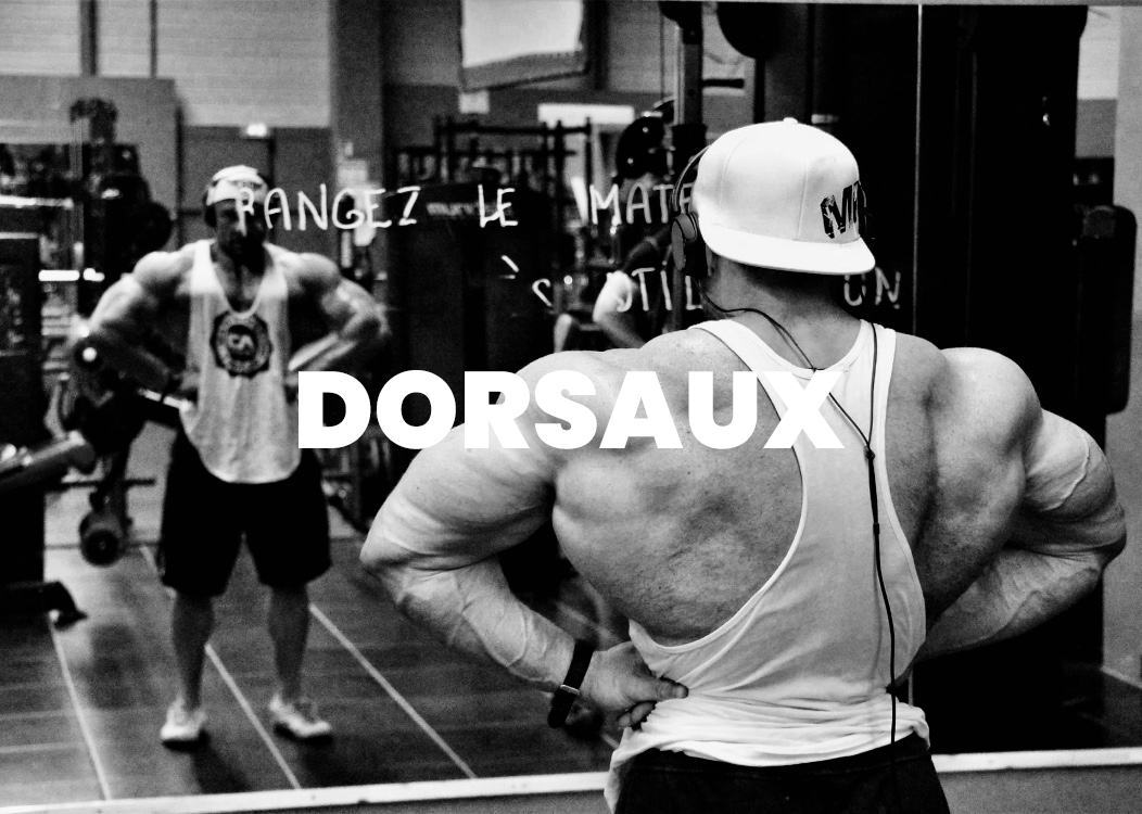 BACK WORKOUTS | TOUTES LES SÉANCES DE DOS